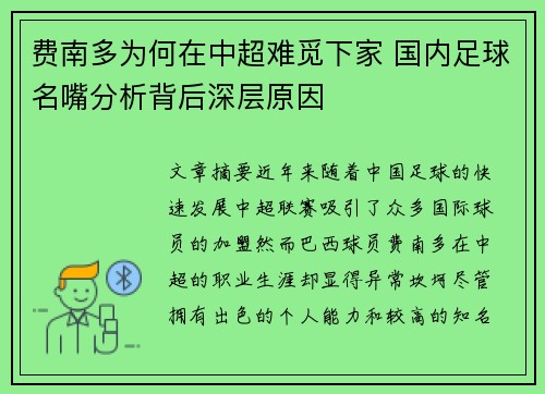 费南多为何在中超难觅下家 国内足球名嘴分析背后深层原因